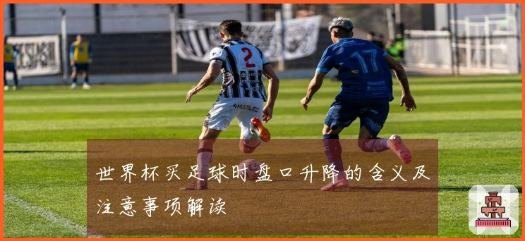 世界杯买足球时盘口升降的含义及注意事项解读