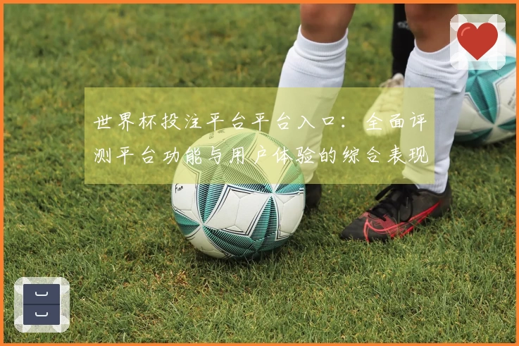 世界杯投注平台平台入口：全面评测平台功能与用户体验的综合表现分析