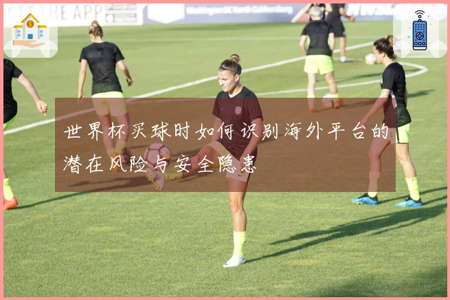 世界杯买球时如何识别海外平台的潜在风险与安全隐患