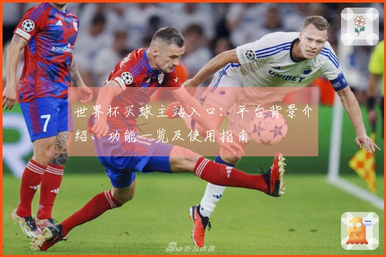 世界杯买球主站入口：平台背景介绍、功能一览及使用指南