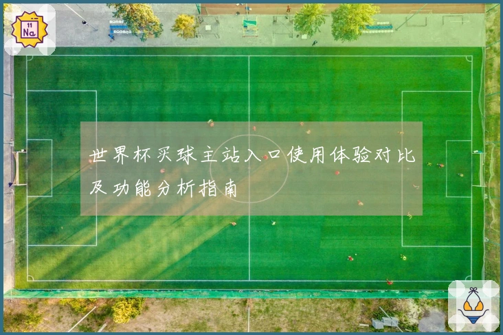世界杯买球主站入口使用体验对比及功能分析指南