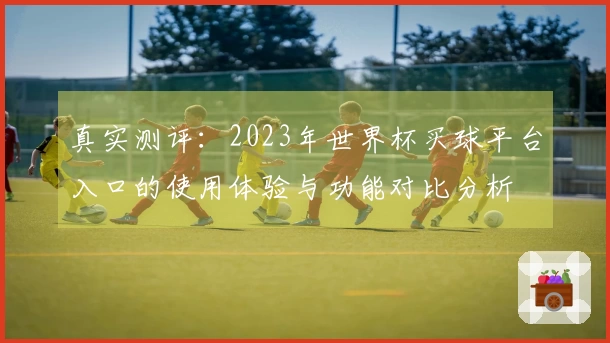 真实测评：2023年世界杯买球平台入口的使用体验与功能对比分析