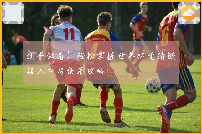 新手必看！轻松掌握世界杯竞猜链接入口与使用攻略