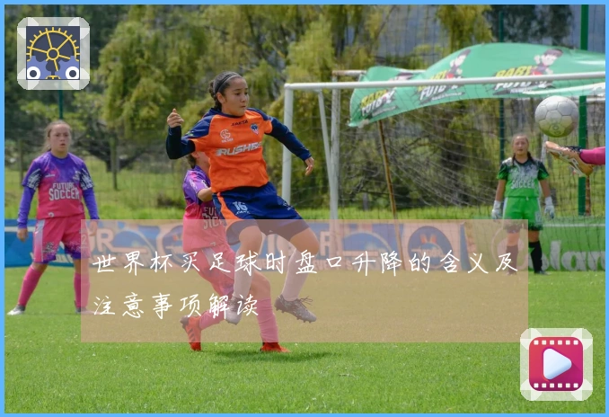世界杯买足球时盘口升降的含义及注意事项解读