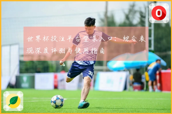世界杯投注平台登录入口：综合表现深度评测与使用指南