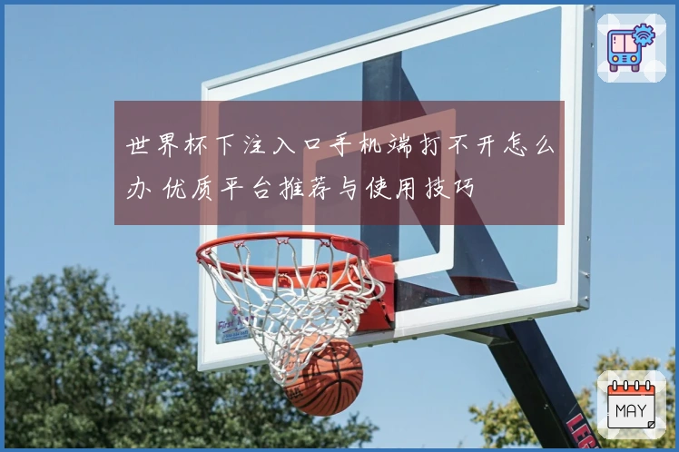 世界杯下注入口手机端打不开怎么办 优质平台推荐与使用技巧