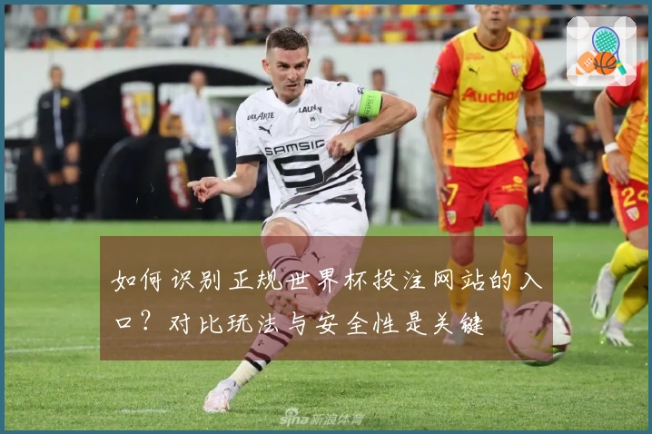 如何识别正规世界杯投注网站的入口？对比玩法与安全性是关键