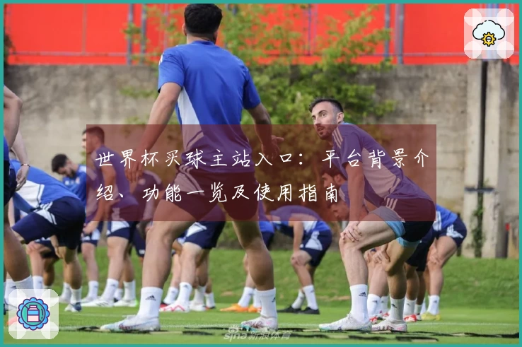 世界杯买球主站入口：平台背景介绍、功能一览及使用指南