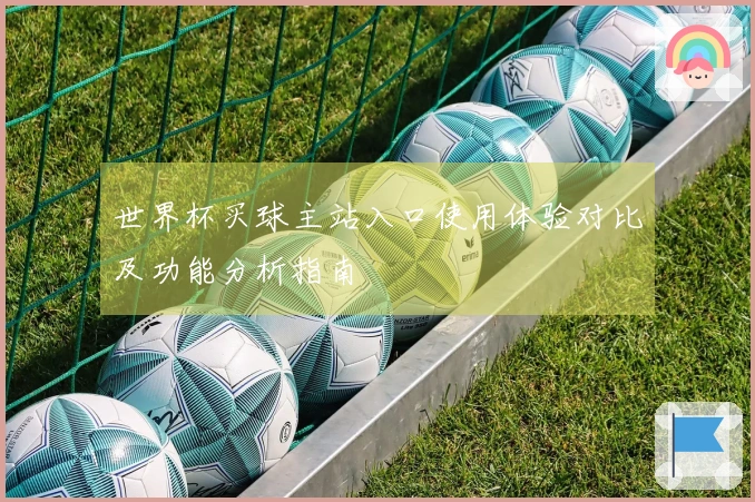 世界杯买球主站入口使用体验对比及功能分析指南