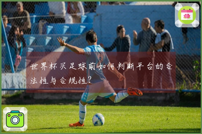 世界杯买足球前如何判断平台的合法性与合规性？