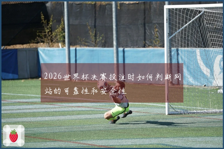 2026世界杯决赛投注时如何判断网站的可靠性和安全性