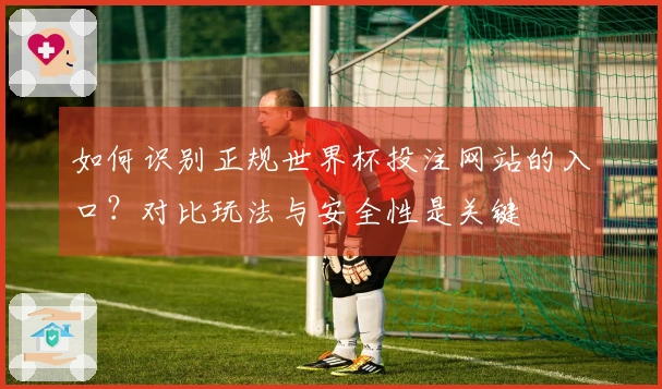 如何识别正规世界杯投注网站的入口？对比玩法与安全性是关键