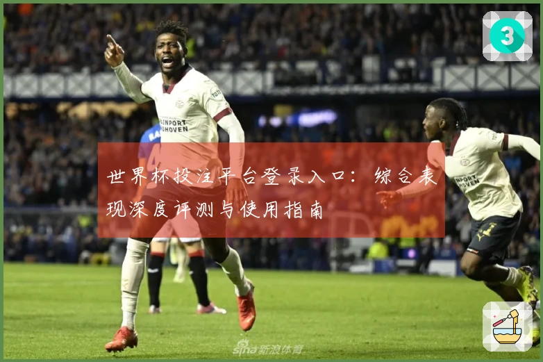 世界杯投注平台登录入口：综合表现深度评测与使用指南